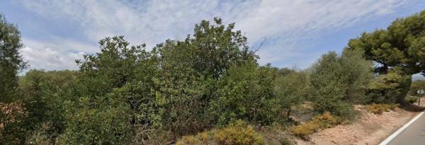 Terreno en carretera Ribarroja Gallipont, 3