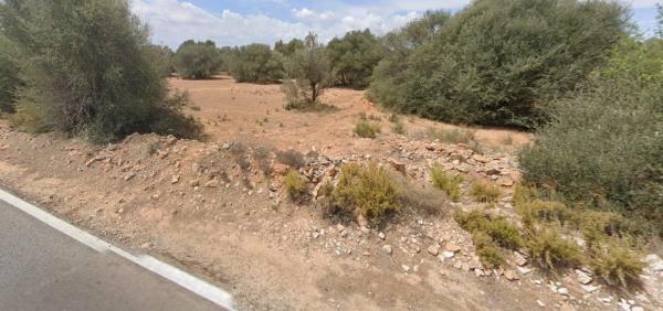 Terreno en carretera Ribarroja Gallipont, 3