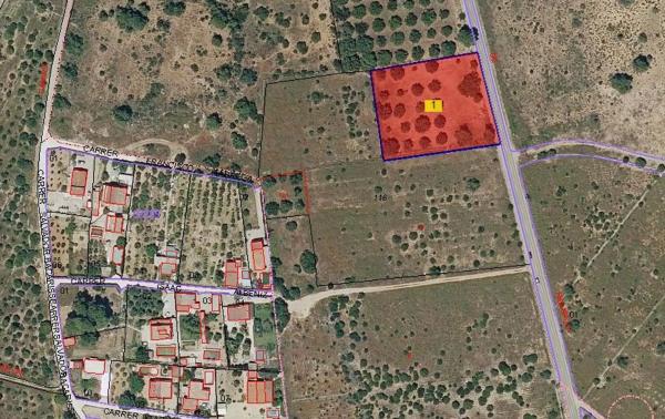 Terreno en carretera Ribarroja Gallipont, 3