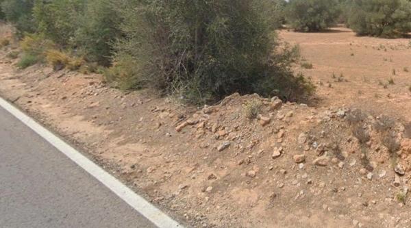 Terreno en carretera Ribarroja Gallipont, 3