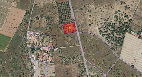 Terreno en carretera Ribarroja Gallipont, 3