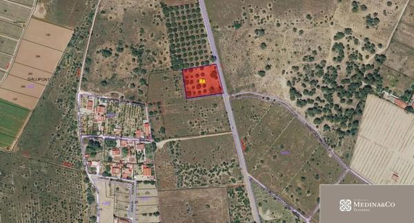 Terreno en carretera Ribarroja Gallipont, 3
