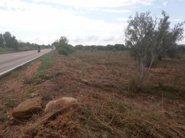 Terreno en Cv-372
