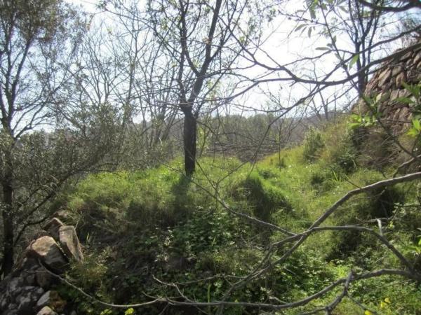 Terreno en Polígono 35