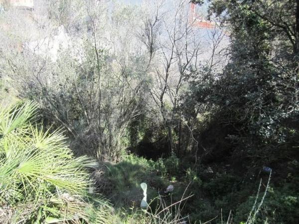 Terreno en Polígono 35