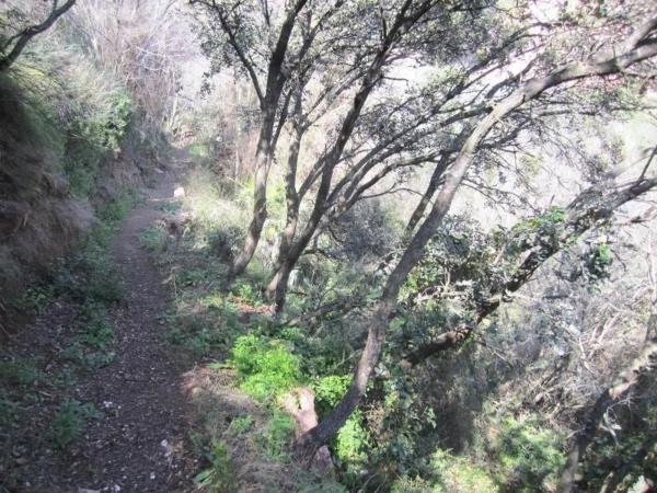 Terreno en Polígono 35