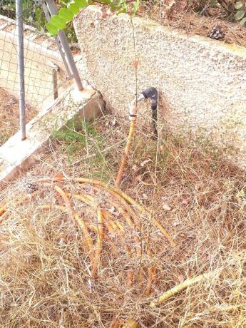 Terreno en Monteamor - La Carrasca - El Peucal