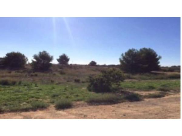 Terreno en calle Marqués de Dosaigües