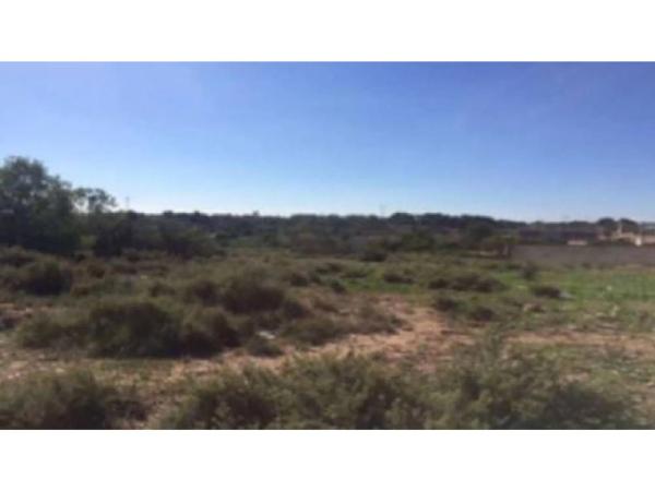 Terreno en calle Marqués de Dosaigües