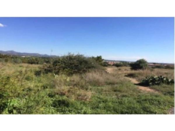 Terreno en calle Marqués de Dosaigües