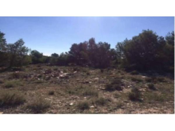 Terreno en calle Marqués de Dosaigües