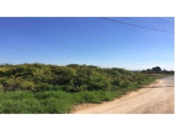 Terreno en calle Marqués de Dosaigües