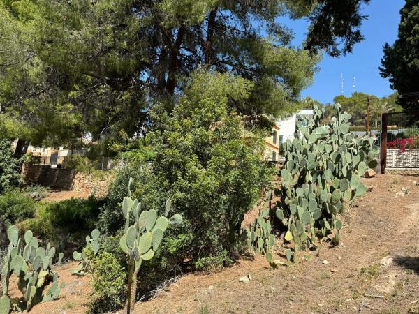 Terreno en calle Font del Salt, 11