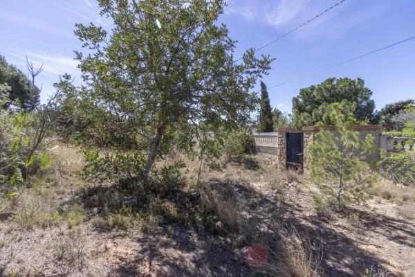 Terreno en La Loma - Las Lomas