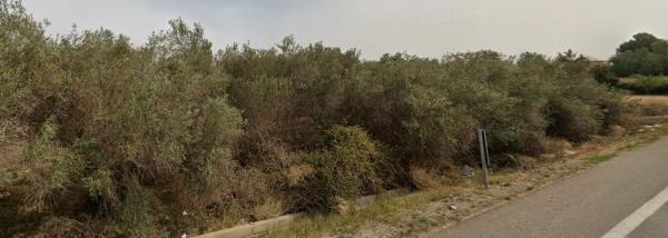 Terreno en turbañez s/n