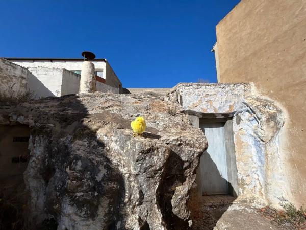 Terreno en calle de la Plaça de Bous