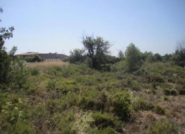 Terreno en camino del Corral de la Marquesa
