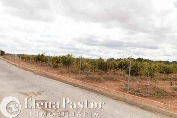 Terreno en Los Pinares-La Masía