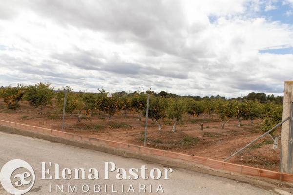 Terreno en Los Pinares-La Masía