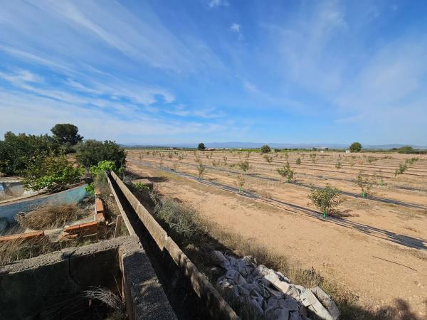 Terreno en partida s/n pladecalvo