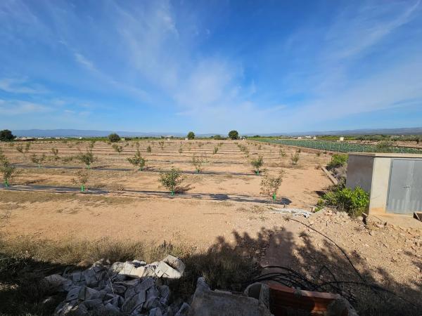 Terreno en partida s/n pladecalvo