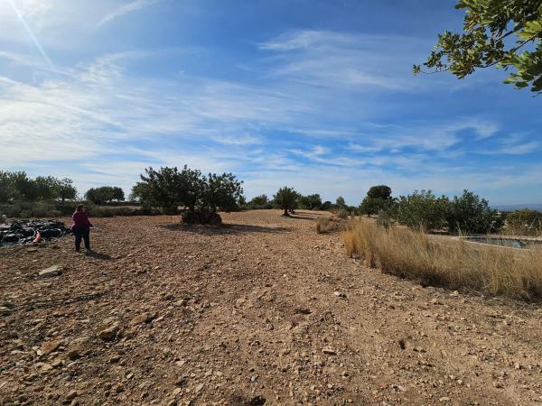 Terreno en partida s/n pladecalvo