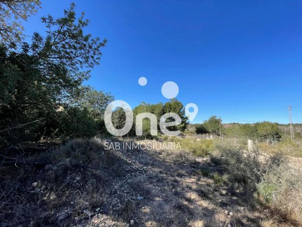 Terreno en calle del Nord