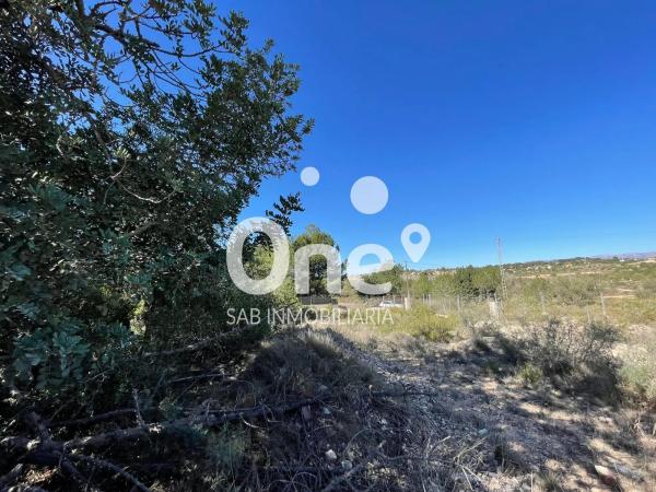 Terreno en calle del Nord