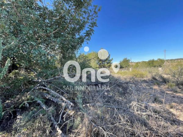 Terreno en calle del Nord