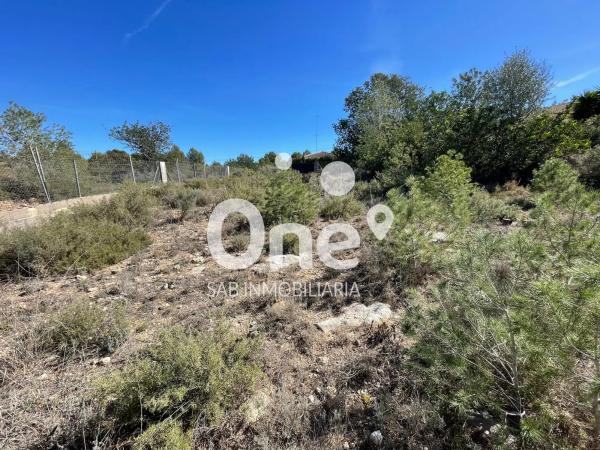 Terreno en calle del Nord