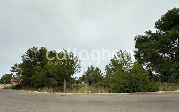 Terreno en calle Falcó