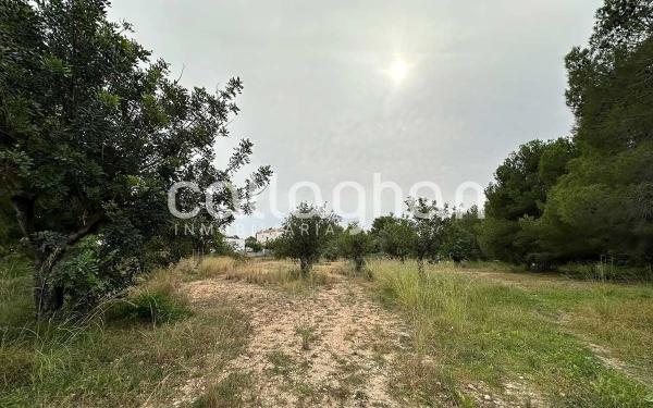 Terreno en calle Falcó