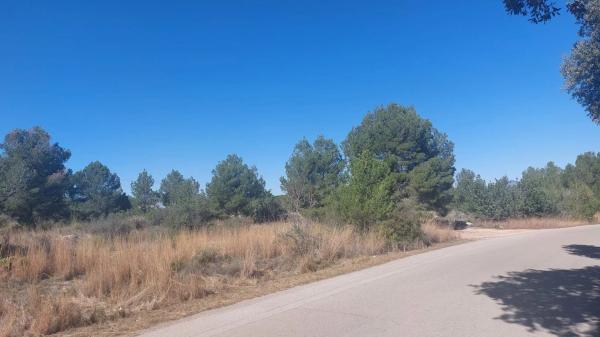 Terreno en plaza Poligono N-62.R