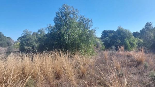 Terreno en plaza Poligono N-62.R