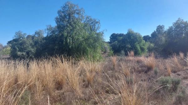 Terreno en plaza Poligono N-62.R