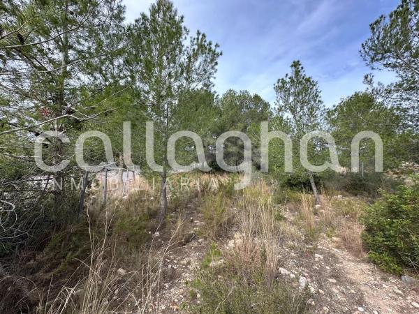 Terreno en calle Esparver