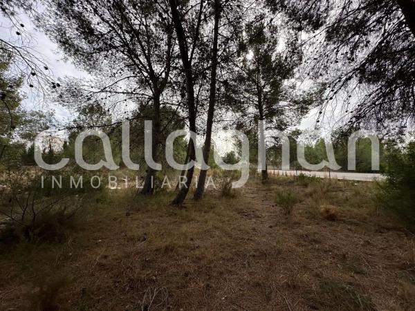 Terreno en calle Esparver