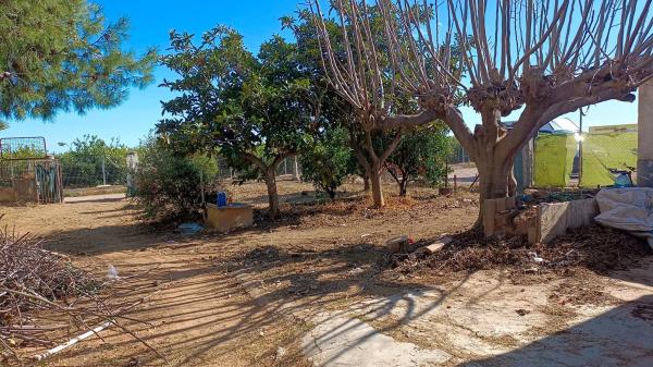 Terreno en plaza Diseminados, 31