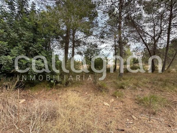 Terreno en calle Esparver