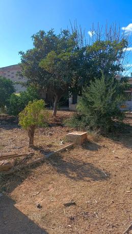 Terreno en plaza Diseminados, 31