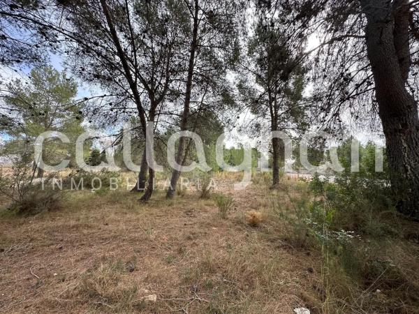 Terreno en calle Esparver