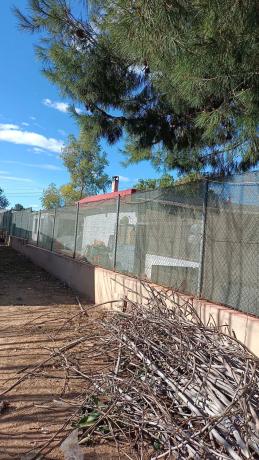Terreno en plaza Diseminados, 31