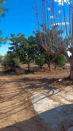 Terreno en plaza Diseminados, 31