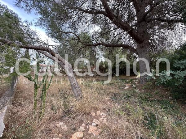 Terreno en calle Esparver