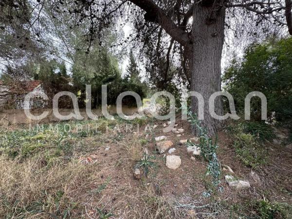 Terreno en calle Esparver