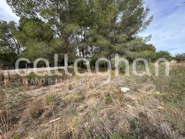 Terreno en calle Esparver