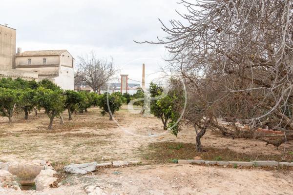 Terreno en calle la Huerta