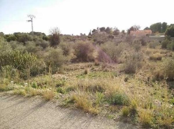 Terreno en Vall de Flors