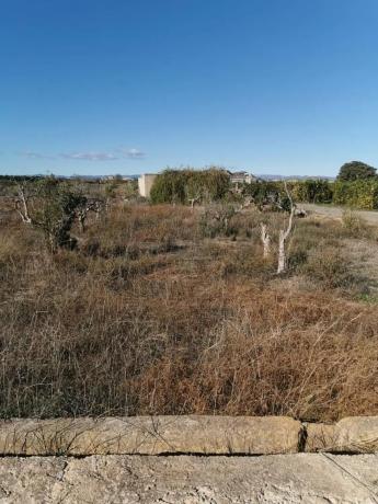 Terreno en Riba-Roja de Túria