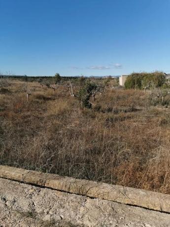 Terreno en Riba-Roja de Túria